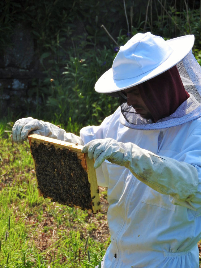 Beekeeping suit & gloves