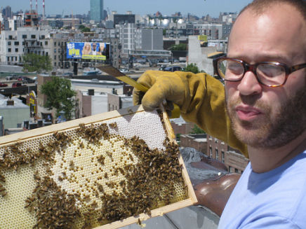 Rooftop beekeeping Brooklyn