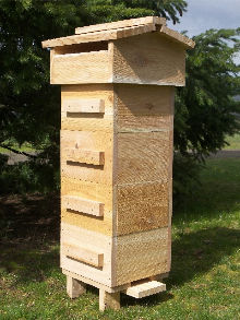 Warre hive