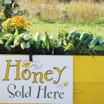 Honey for sale Honey for sale