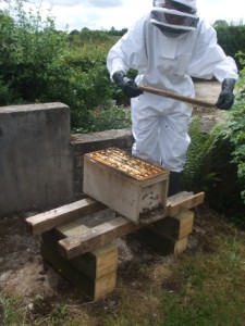 Opening a nuc box Opening a nuc box